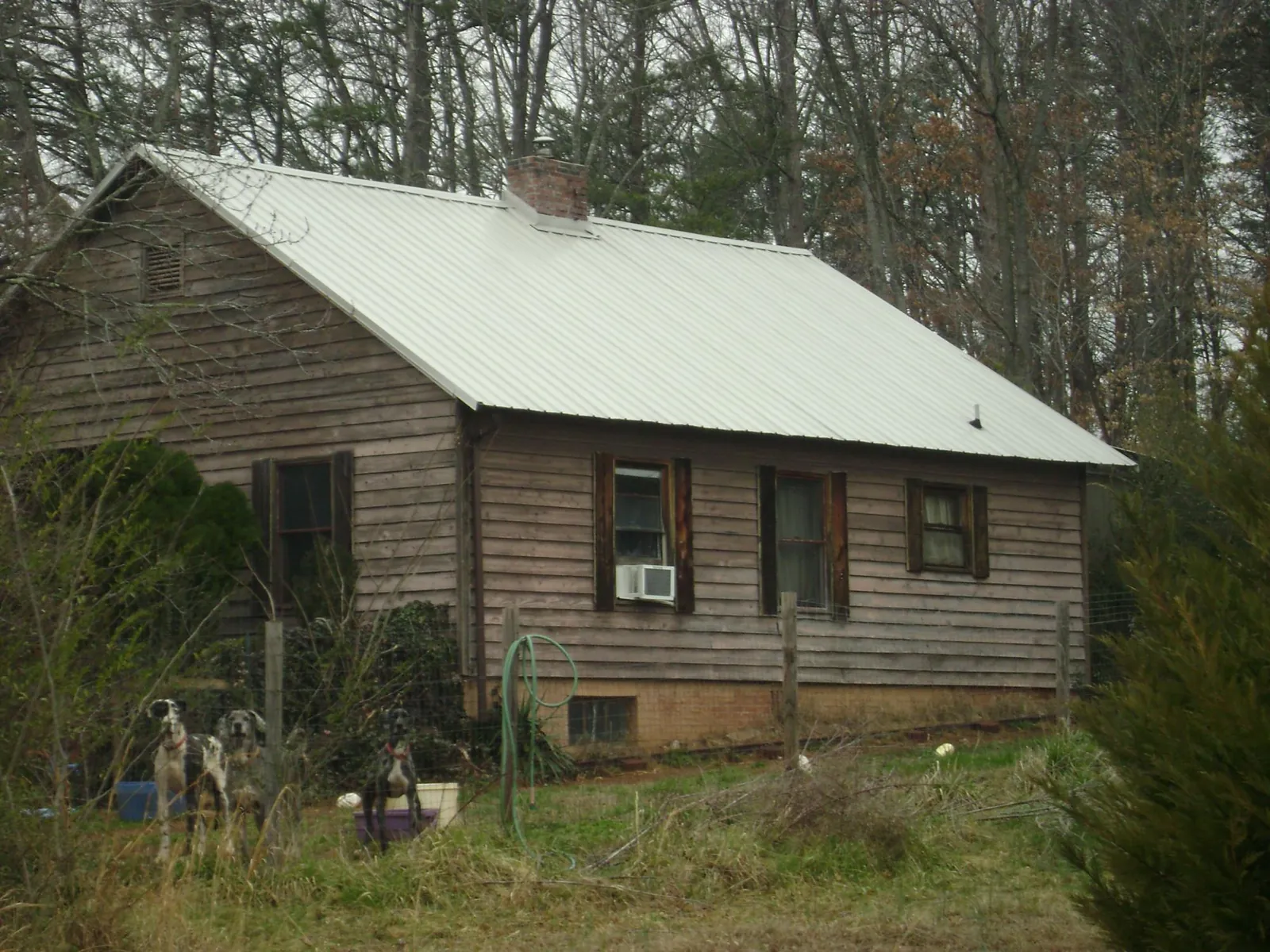 White metal roof on an old wood sided farmhouse in Pittsville